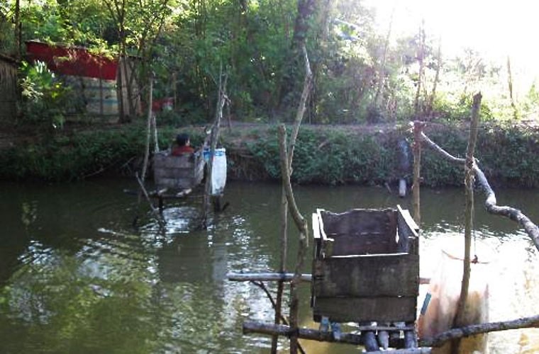 Mỗi[-]năm[-]Việt[-]Nam[-]mất[-]780[-]triệu[-]USD[-]vì[-]vệ[-]sinh[-]môi[-]trường[-]kém